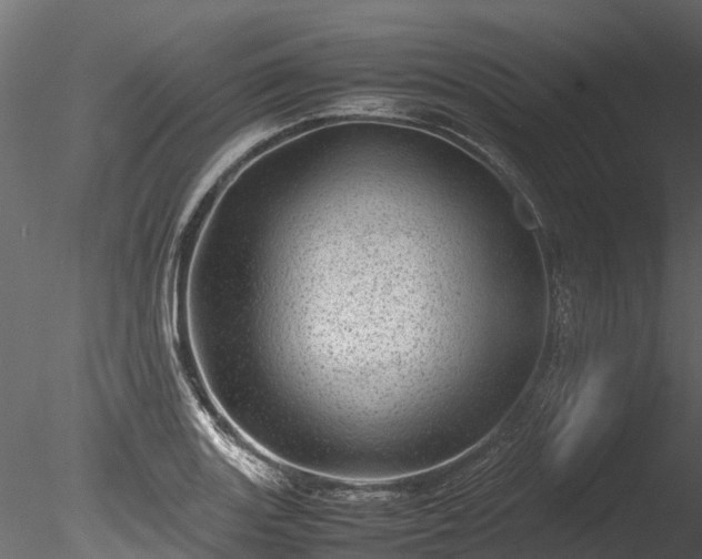 X0000085291131200703161443