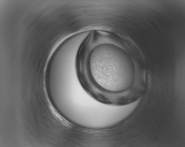 X0000085291132200703161443