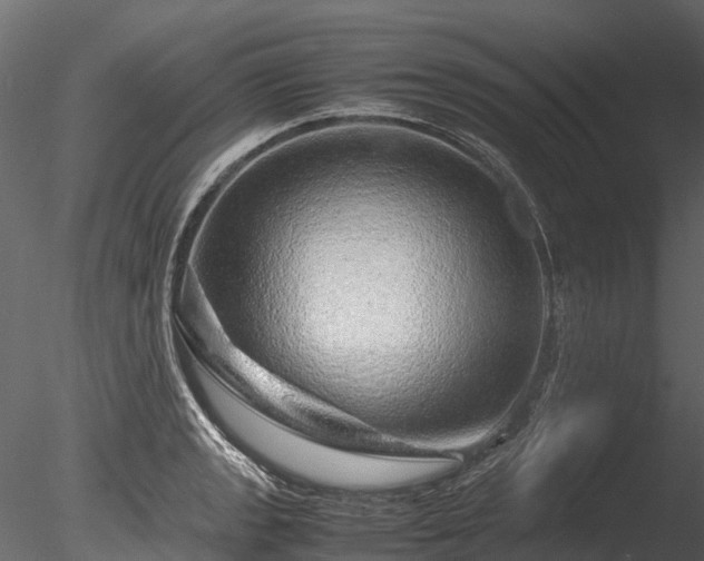 X0000085291133200703161443