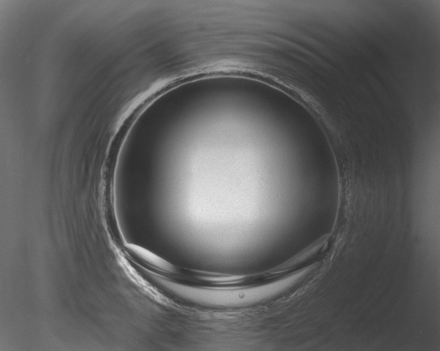 X0000085291134200703161443