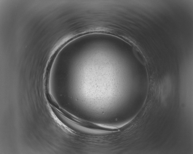 X0000085291135200703161443