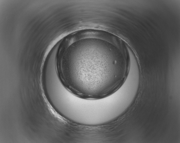 X0000085291136200703161443