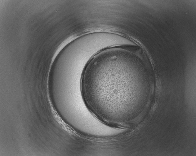 X0000085291138200703161443