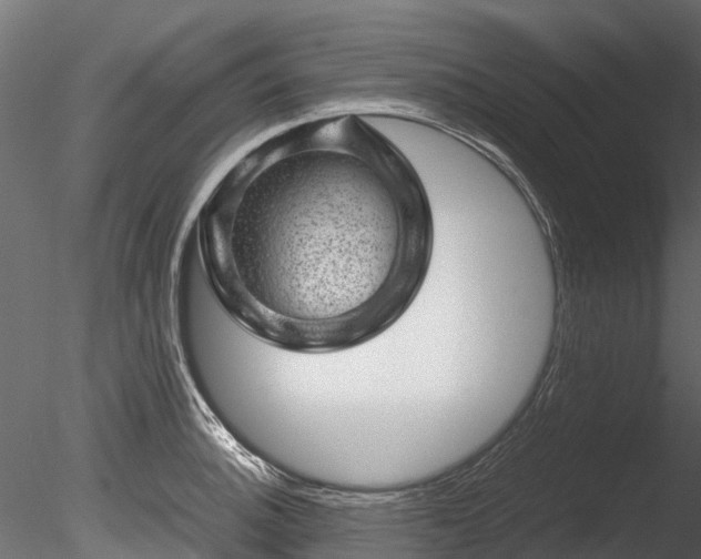 X0000085291140200703161443