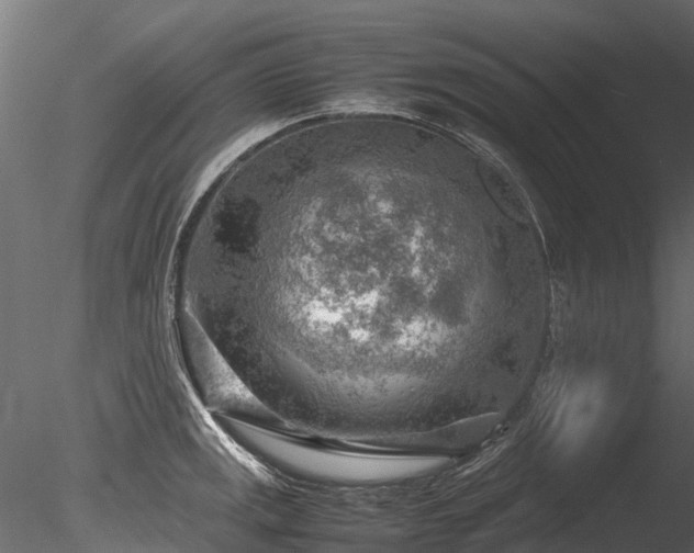 X0000085291141200703161443