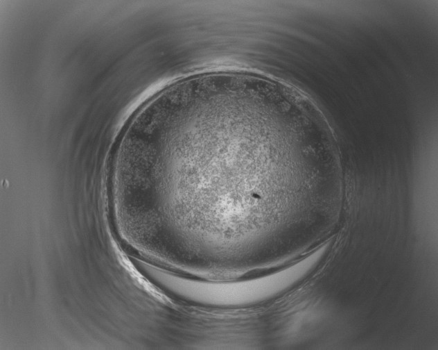 X0000085291142200703161443