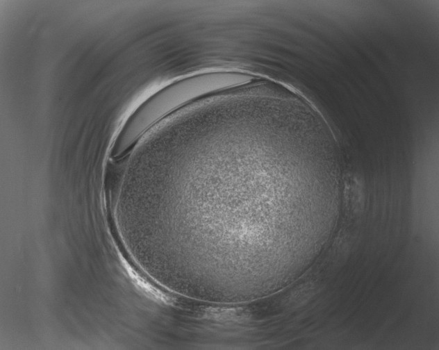 X0000085291143200703161443