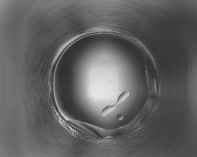 X0000085291148200703161443