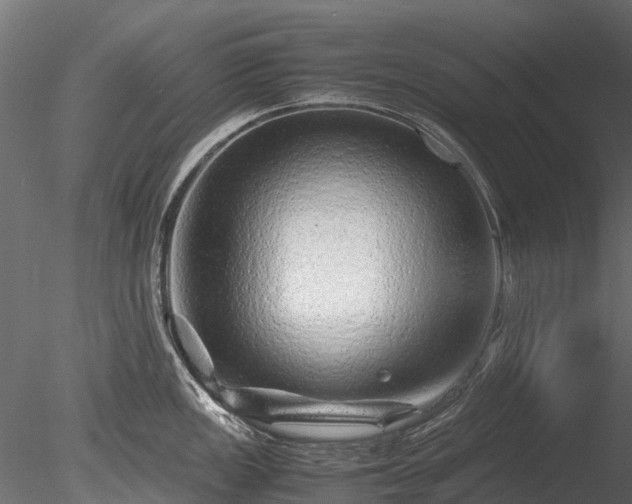 X0000085291149200703161443