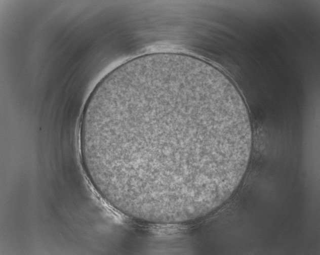 X0000085291150200703161443