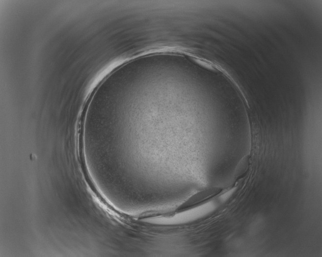 X0000085291151200703161443