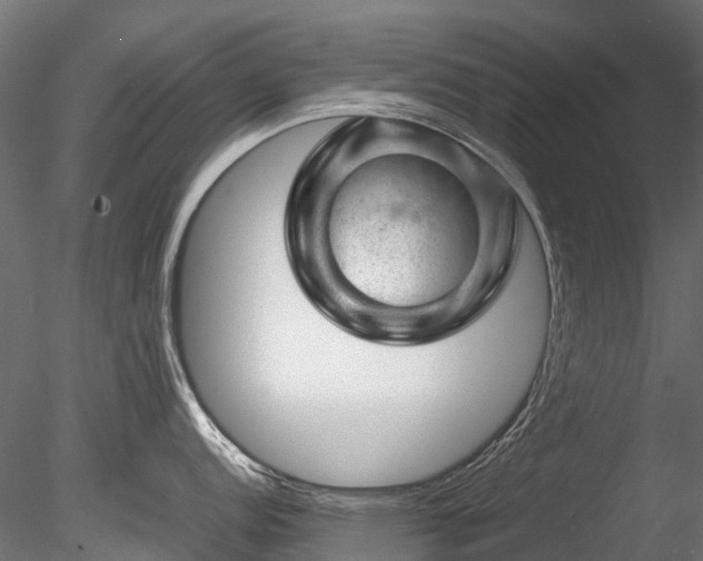 X0000085291152200703161443