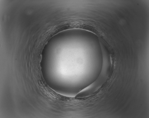 X0000085291153200703161442