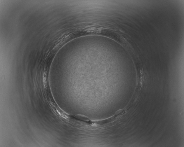 X0000085291154200703161442