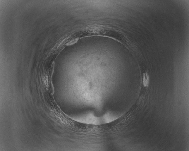 X0000085291155200703161442