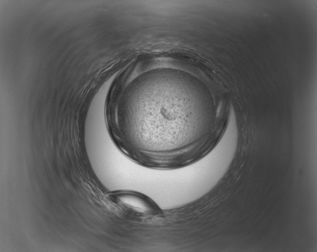 X0000085291156200703161442