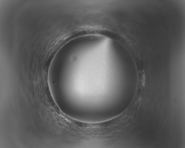 X0000085291157200703161442