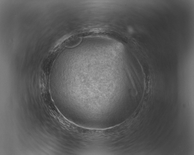 X0000085291158200703161442