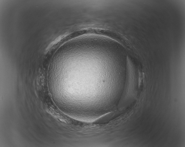 X0000085291159200703161442