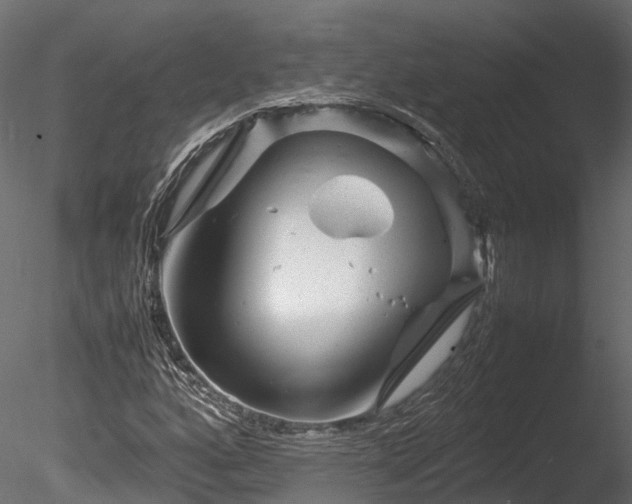 X0000085291160200703161442