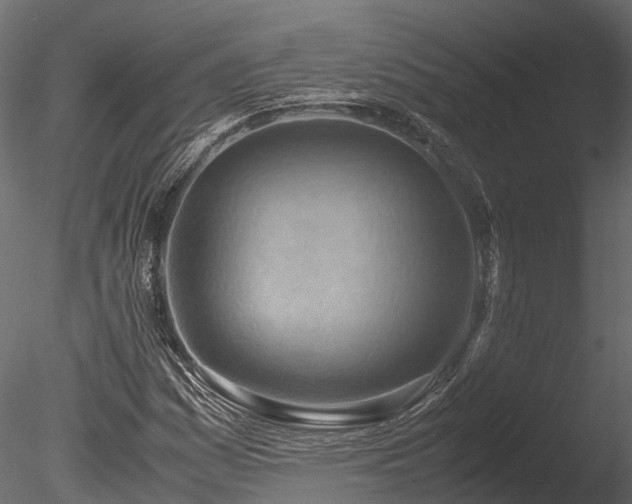 X0000085291161200703161442