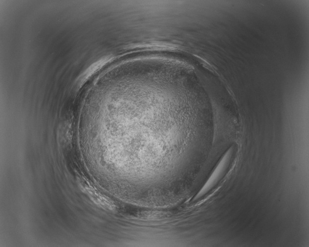 X0000085291163200703161442