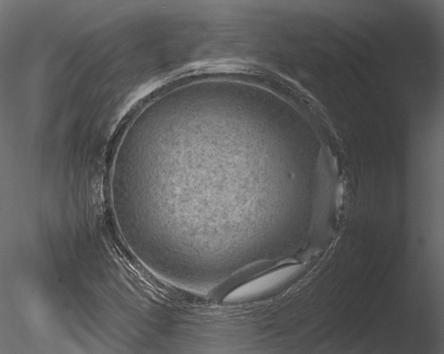 X0000085291166200703161442