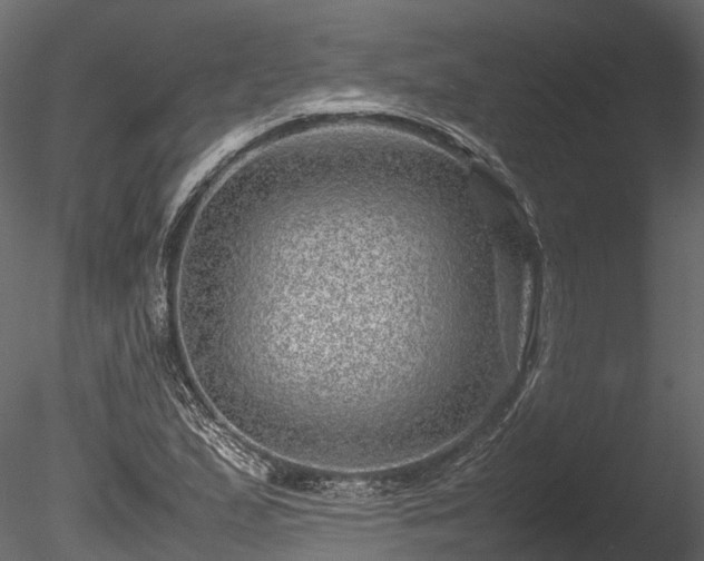 X0000085291167200703161442