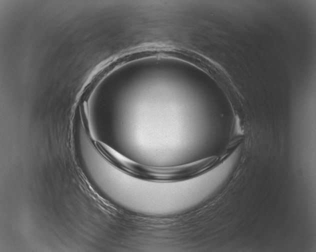 X0000085291168200703161442