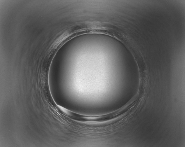 X0000085291169200703161442