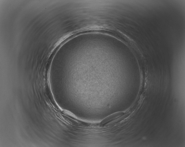 X0000085291170200703161442