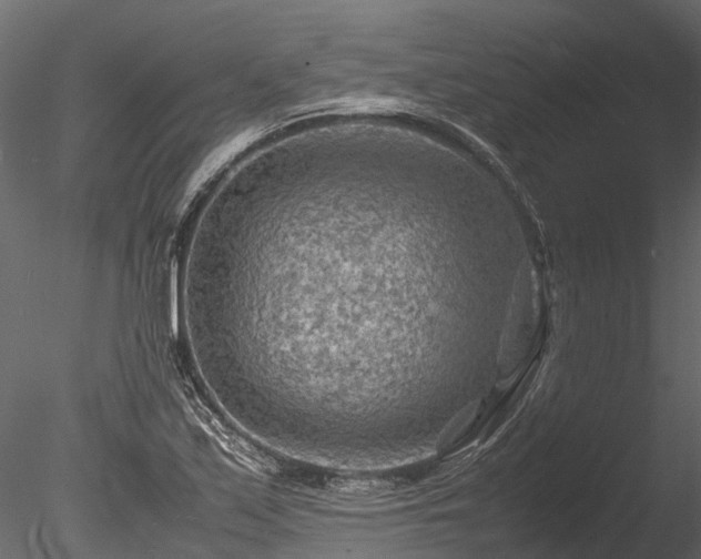 X0000085291171200703161442