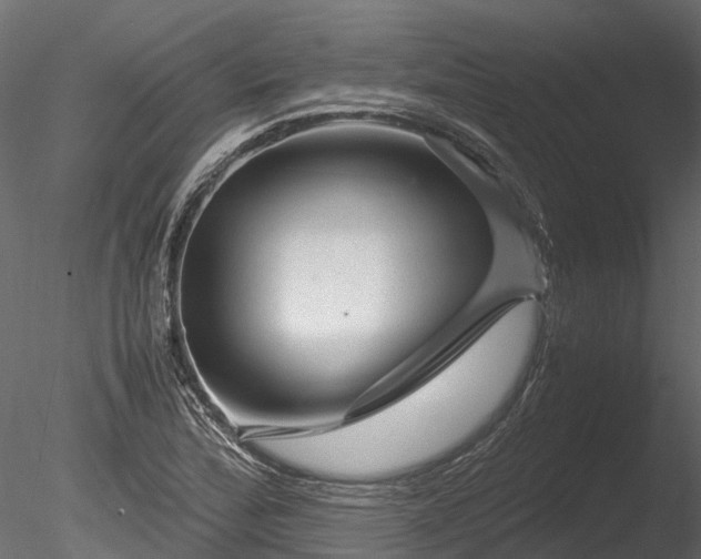 X0000085291172200703161442