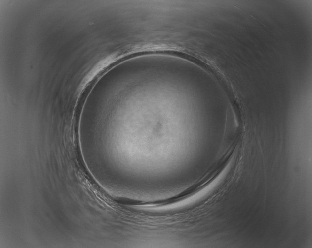 X0000085291173200703161442