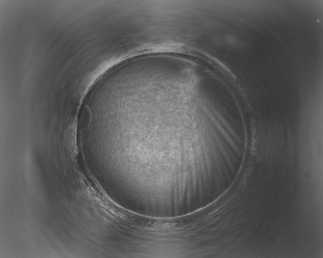 X0000085291174200703161442