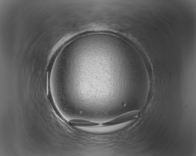 X0000085291175200703161442