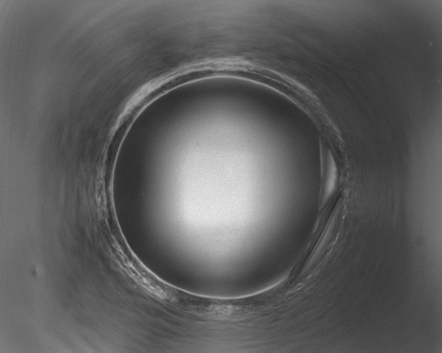 X0000085291176200703161442