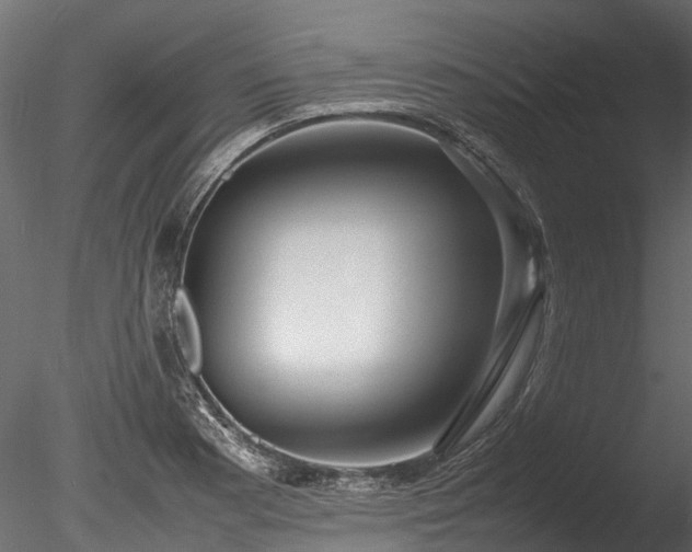 X0000085291177200703161442