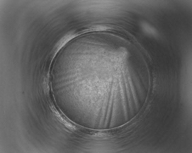 X0000085291178200703161442