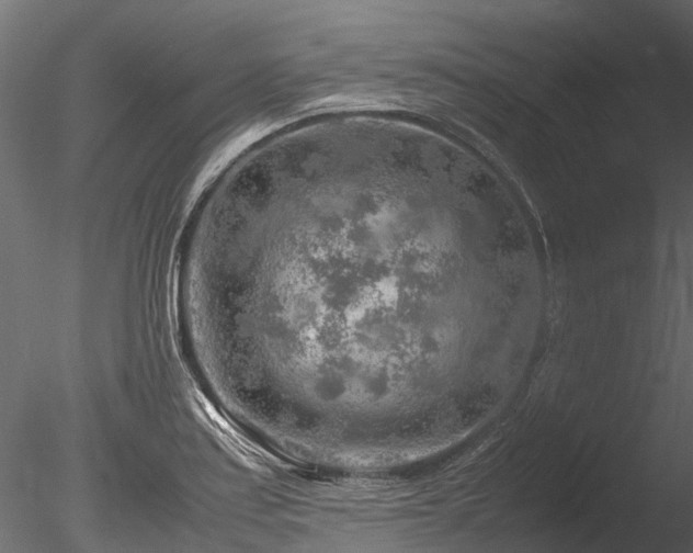 X0000085291179200703161442