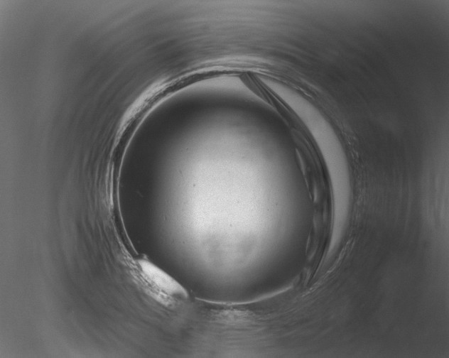 X0000085291180200703161442