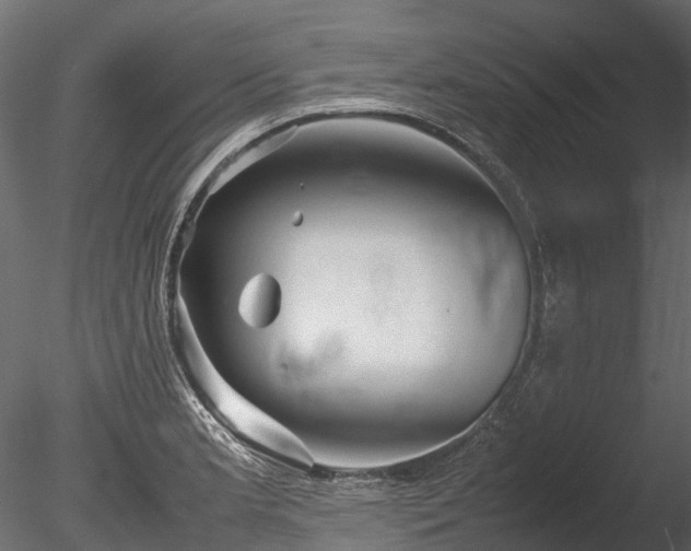 X0000085291181200703161442