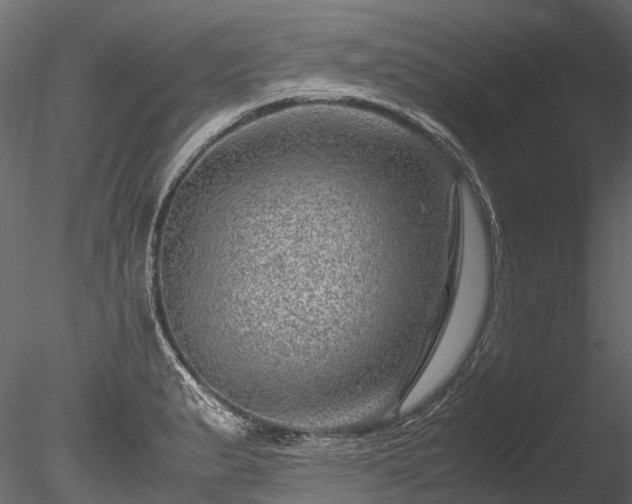 X0000085291183200703161442