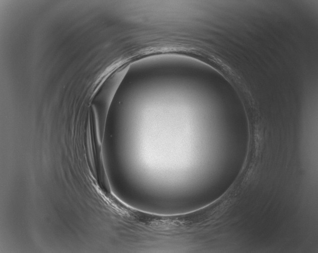 X0000085291185200703161442