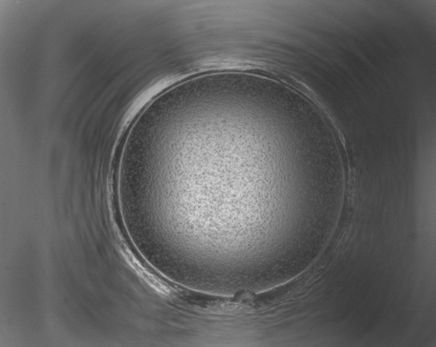 X0000085291187200703161442