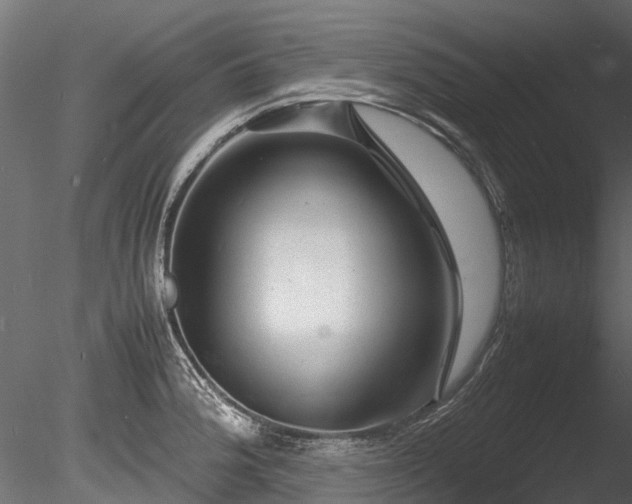 X0000085291188200703161442