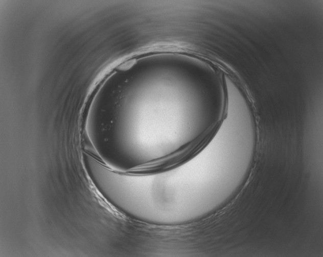 X0000085291192200703161442