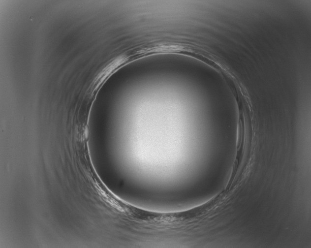 X0000085291193200703161442