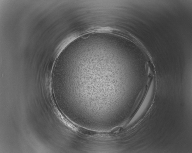 X0000085291194200703161442