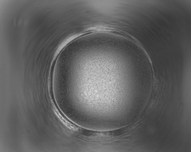 X0000085291195200703161442